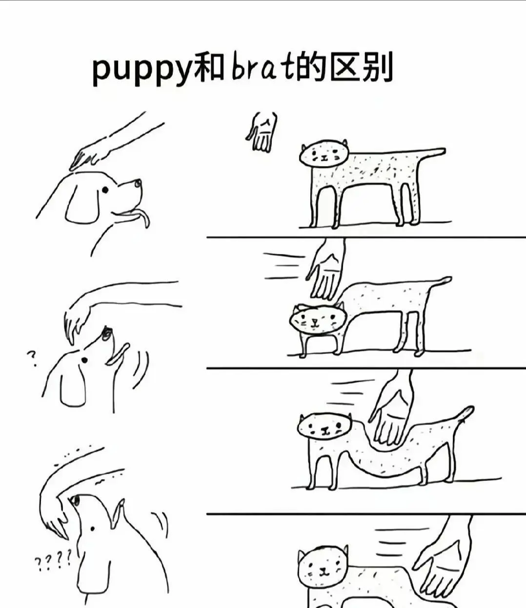 “BDSM圈”中的“主导”和“服从”到底意味着什么？ 一