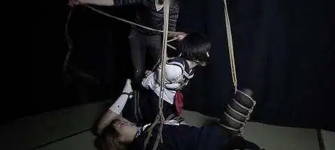在ds关系中,权力与服从的博弈,你了解吗? 一