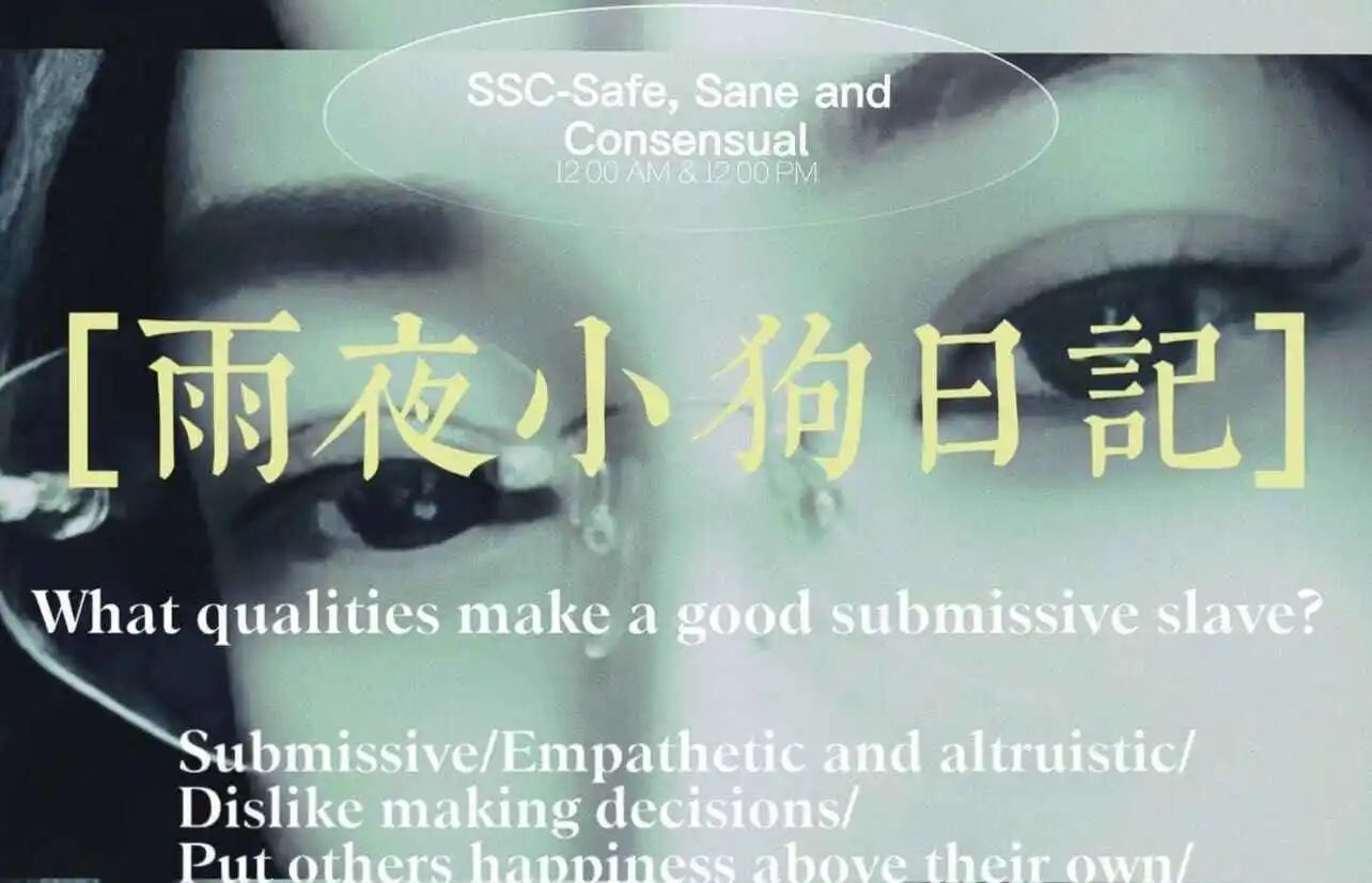 “sp小圈”探秘:如何在2025年找到志同道合的伴侣 一