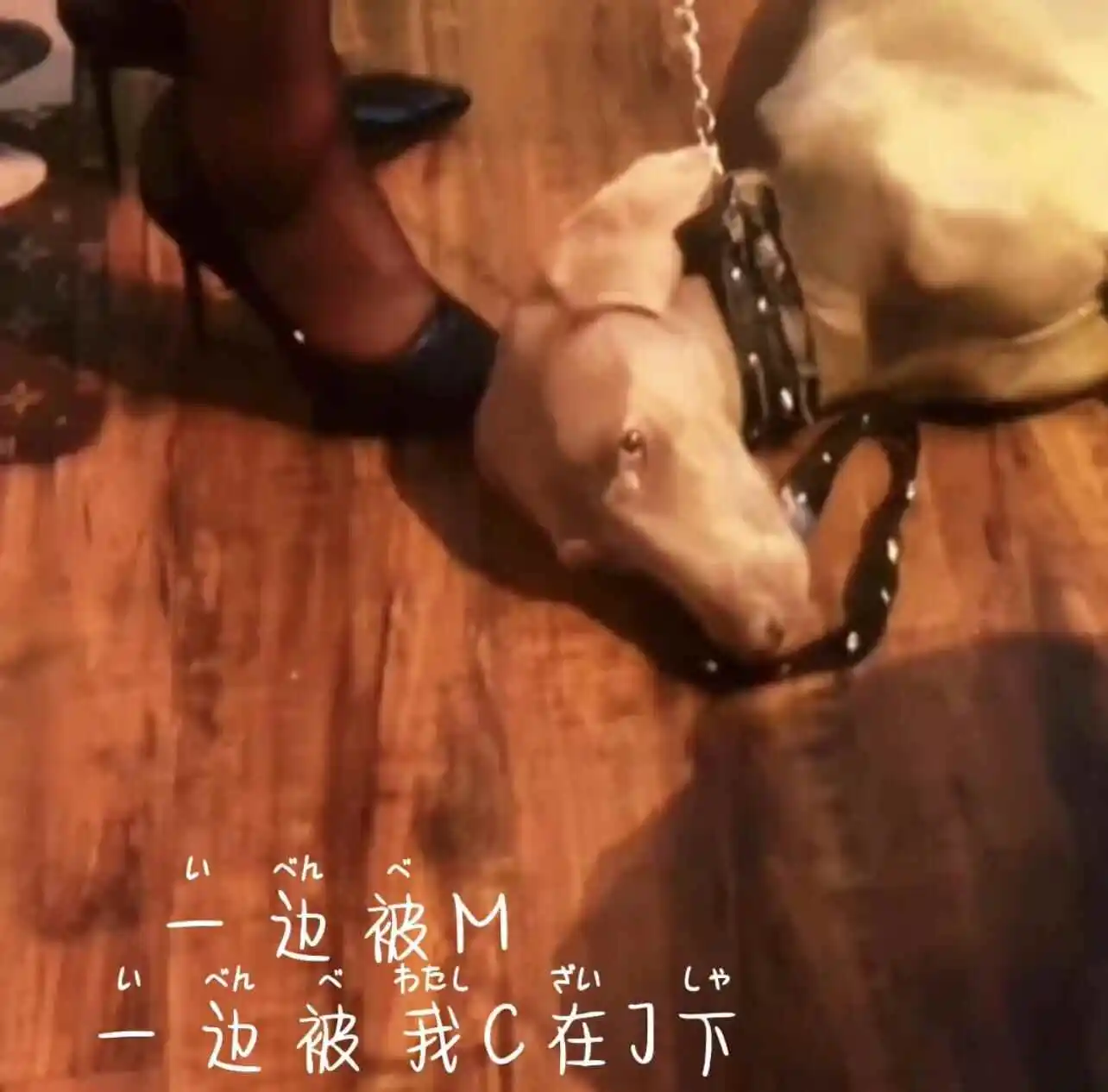 如何成为你自己的女王，掌控生活的每一寸？ 一