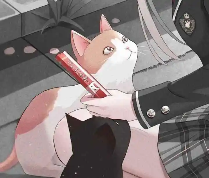 探索k8猫系：是什么让它在BDSM圈中备受追捧？ 一