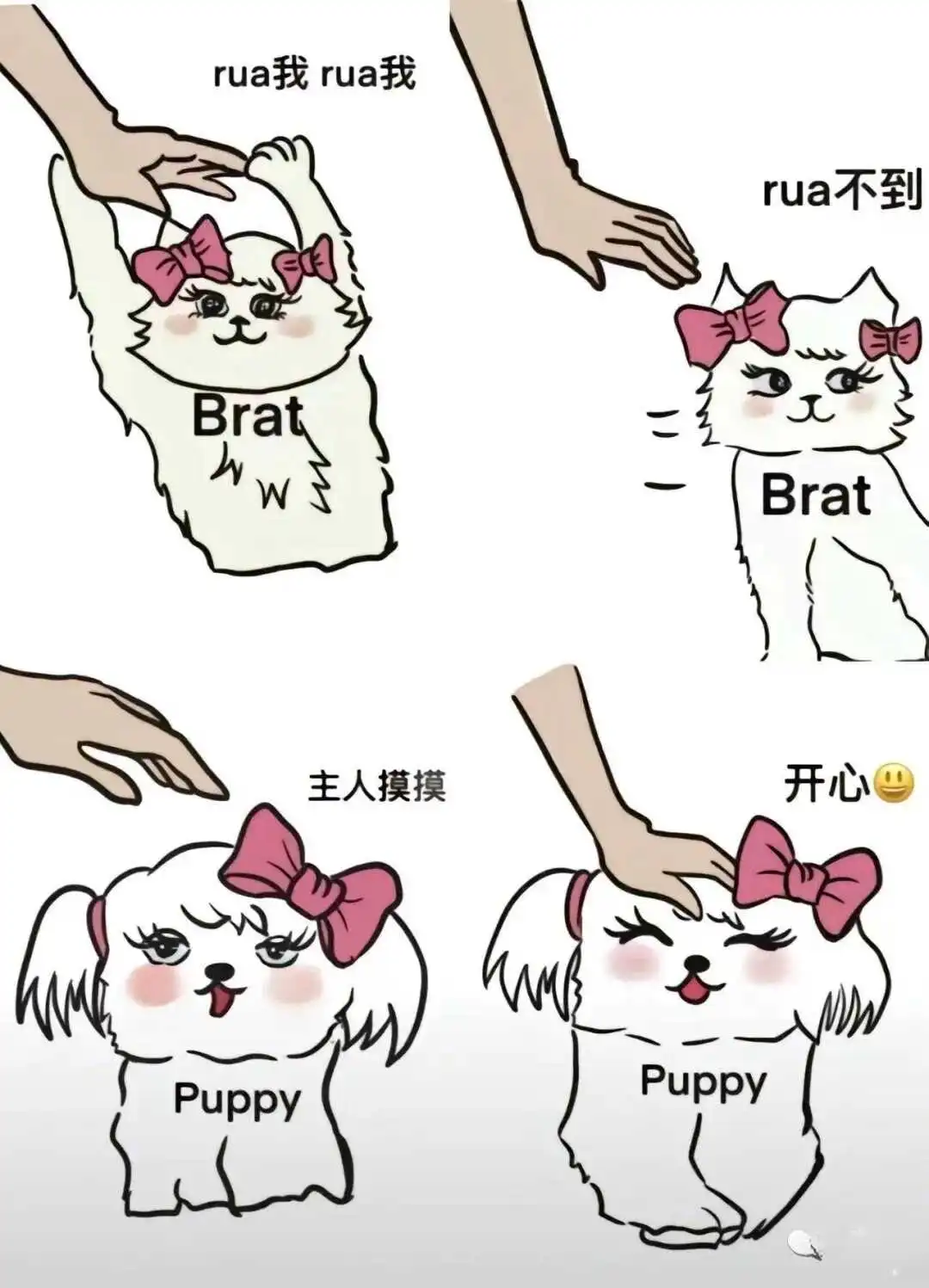 如何在DS关系中建立信任与默契 一
