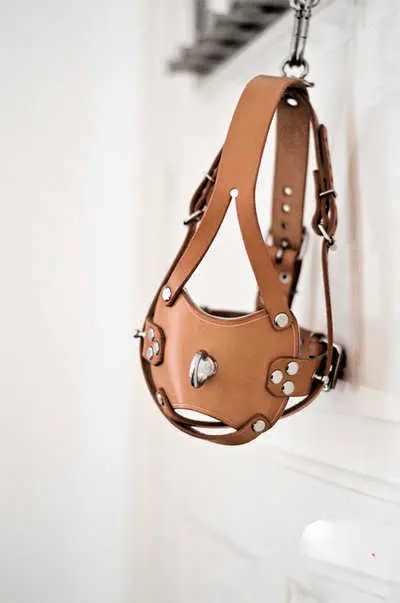 我的女王:如何在BDSM中找到属于自己的主宰感 一