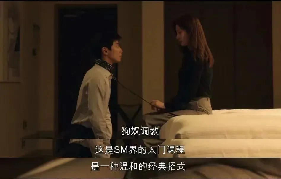 深入探索SM亚文化：超越界限的自我认知与情感连接 一