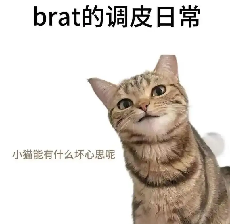 dirty talk是什么？掌握这项技巧，让你在亲密关系中更火热！ 一